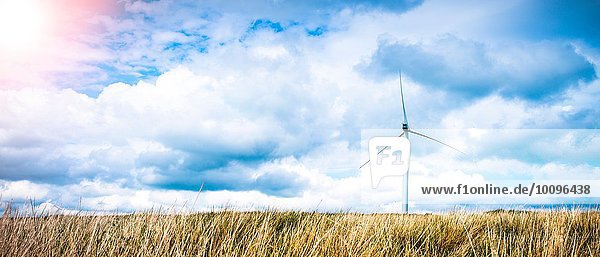 Panoramablick auf langes Gras und Windkraftanlage,  UK