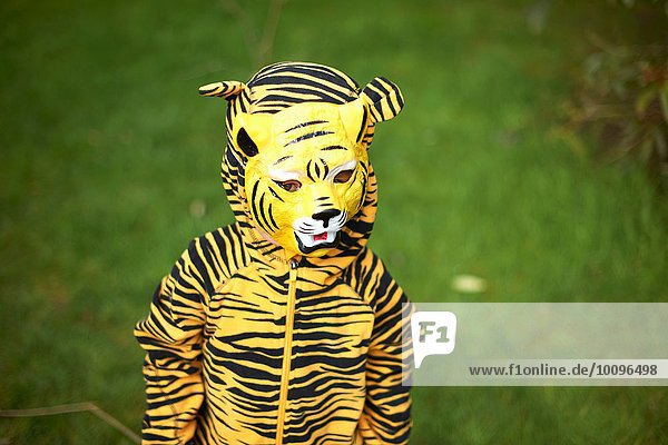 Young child dressed as tiger