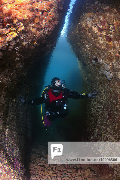 Ein Taucher untersucht eine Unterwasserhöhle,  Japanisches Meer,  Russland,  Europa