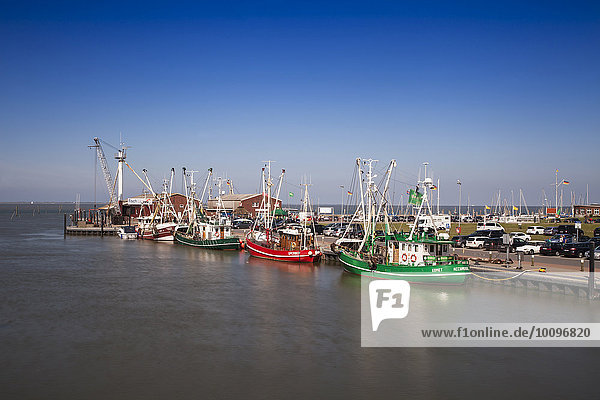 Krabbenkutter im Hafen von Dornumersiel Ostfriesland  Niedersachsen  Deutschland  Europa