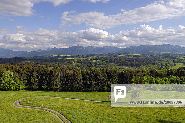Vom Aussichtsturm Ratzinger Höhe zwischen Ratzing und Hitzing auf Kampenwand  Mitte  und Hochries  rechts  Chiemgau  Oberbayern  Bayern  Deutschland  Europa
