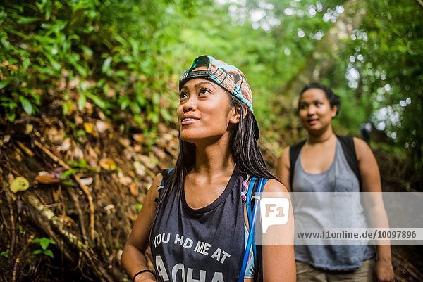 Zwei junge Frauen  die im Dschungel an den Manoa Falls  Oahu  Hawaii  USA  spazieren gehen.