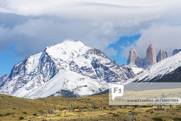 Cuernos del Paine and the Torres  Torres del Paine National Park  Chilean Patagonia  Chile  South America