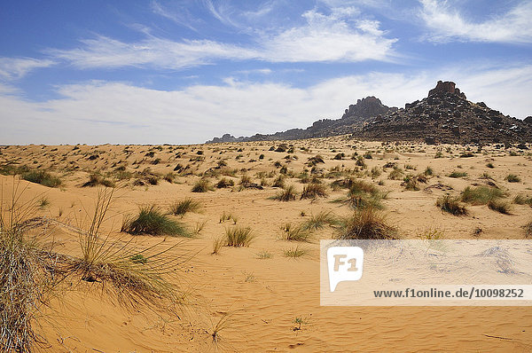 Wüstenlandschaft  Strecke Atar nach Tidjikja  Region Adrar  Mauretanien  Afrika