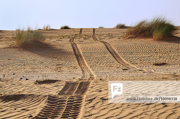 Fahrzeugspuren im Wüstensand  Strecke Atar nach Tidjikja  Region Adrar  Mauretanien  Afrika