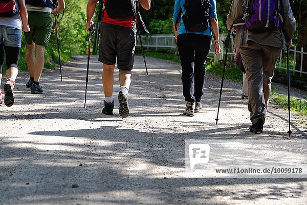 Rear waist down view of mature hikers on rural road  Grigna  Lecco  Lombardy  Italy