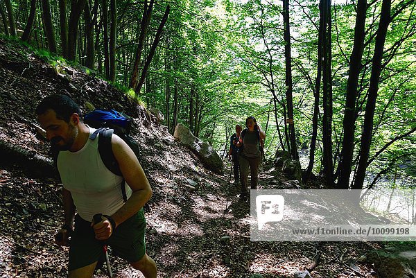 Reife Wandererinnen und Wanderer beim Wandern durch den Wald