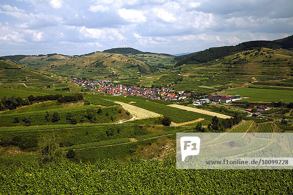 Vom Aussichtspunkt Mondhalde nach Oberbergen  Vogtsburg  Kaiserstuhl  Schwarzwald  Baden-Württemberg  Deutschland  Europa