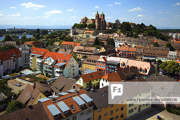Ausblick vom Eckhartsberg auf die Altstadt mit dem romanischen St. Stephansmünster  Breisach am Rhein  Oberrhein  Schwarzwald  Baden-Württemberg  Deutschland  Europa