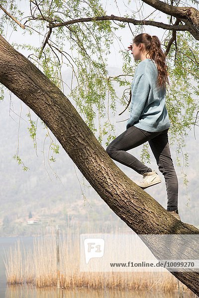 Junge Frau im Baum stehend mit Blick auf den Mergozzo-See  Verbania  Piemonte  Italien