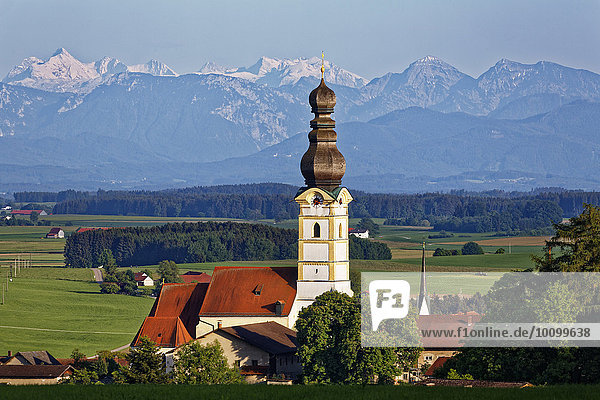 Pfarrkirche Mariä Himmelfahrt hinten die Berchtesgadener Alpen mit Hochkalter links Schnaitsee Chiemgau Oberbayern Bayern Deutschland Europa