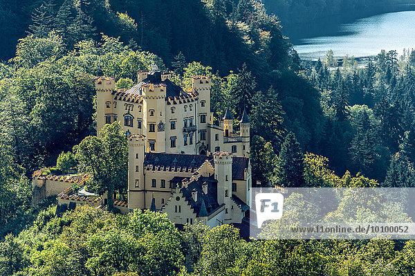 Schloss Hohenschwangau  hinten Schwansee  Schwangau  Königswinkel  Ostallgäu  Allgäu  Schwaben  Bayern  Deutschland  Europa