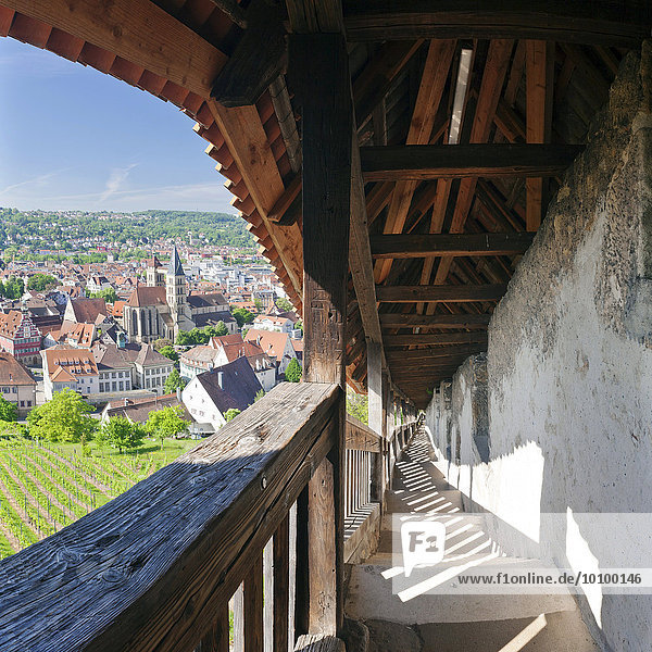 Ausblick von der Burg auf die Altstadt mit Stadtkirche St. Dionys  Esslingen am Neckar  Baden-Württemberg  Deutschland  Europa