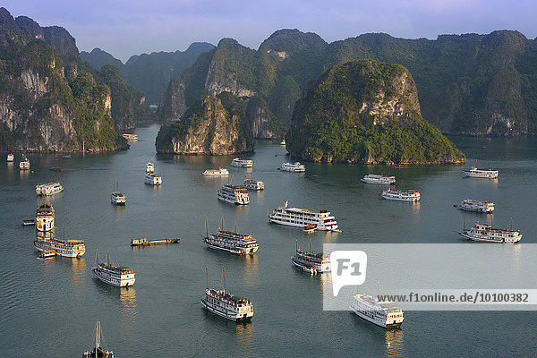 Dschunken und Boote ankern in der Halong Bucht oder Vinh Ha Long  Kalkstein-Felsen  UNESCO Weltnaturerbe  Golf von Tonkin  Nordvietnam  Vietnam  Asien