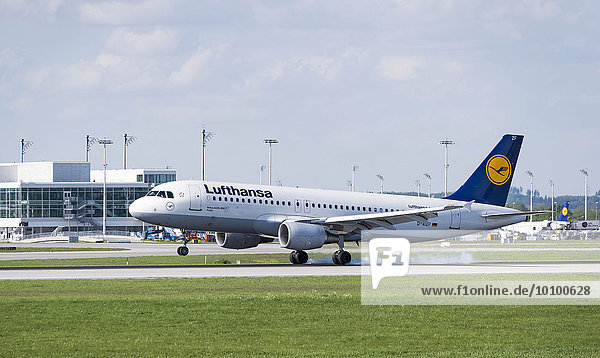 'Lufthansa-Airbus ''Fulda''  Typ A320-214  Registrierungsnummer D-AIZF  landet auf dem Flughafen München  München  Oberbayern  Bayern  Deutschland  Europa'
