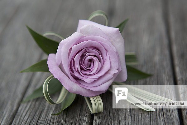 Eine Boutonniere  Knopflochblume  rosa Rose.