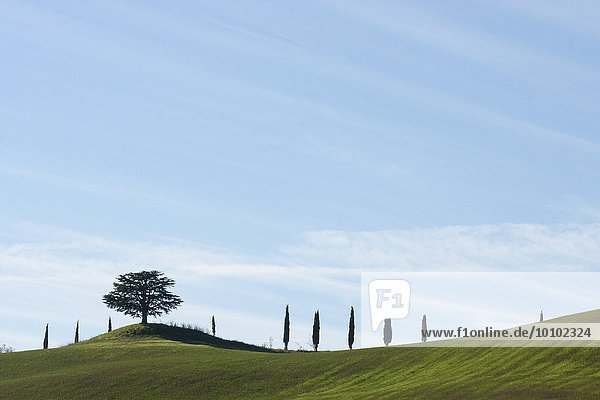 Sanfte Hügel und Zypressen unter blauem Himmel in der Toskana.