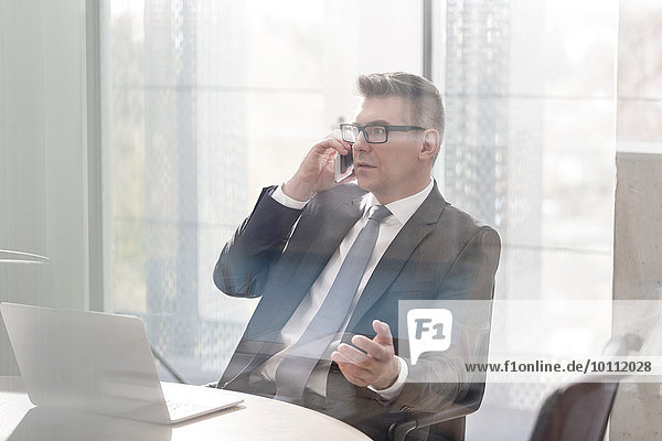 Businessman talking on cell phone gesturing in office