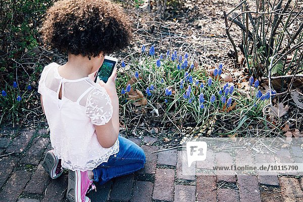 Hochwinkel-Rückansicht des knienden Mädchens mit dem Smartphone zum Fotografieren von Blumen
