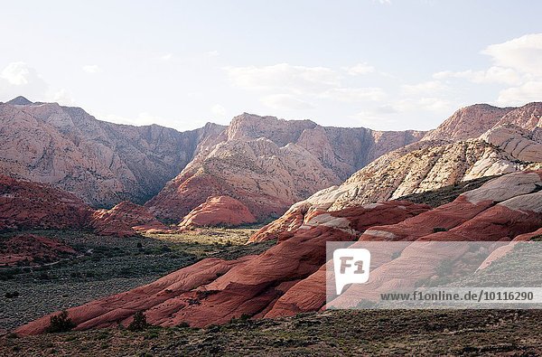 Blick auf geschichtete Felsformationen im Snow Canyon State Park  Utah  USA