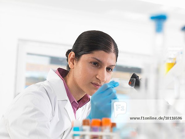 Junge Wissenschaftlerin beim Betrachten von Objektträgern während der klinischen Prüfung medizinischer Proben im Labor