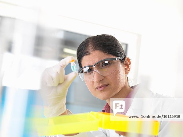 Wissenschaftlerin hält und untersucht chemische Probe im Labor