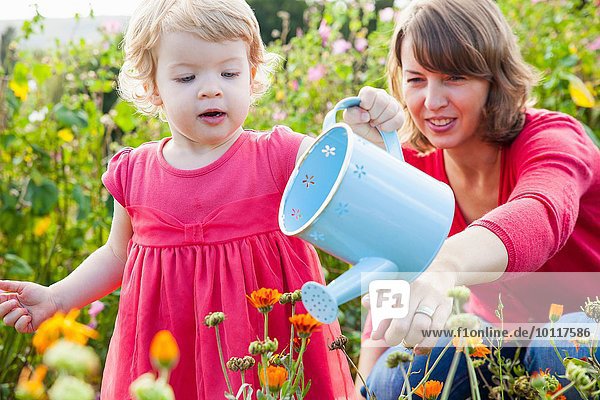 Mittlere erwachsene Mutter und Kleinkind Tochter gießen Blumenfeld