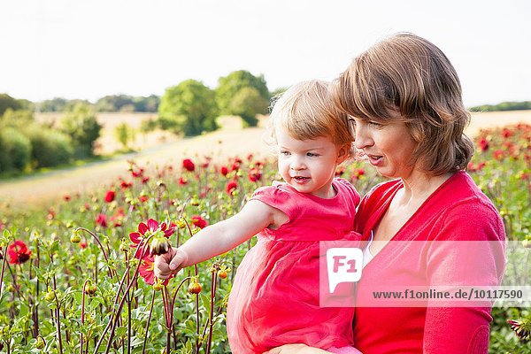 Mittlere erwachsene Mutter und Kleinkind-Tochter beim Betrachten von roten Blumen im Blumenfeld
