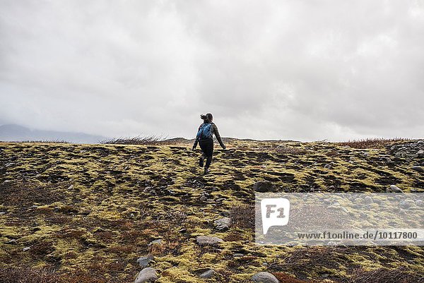 Rückansicht einer Touristin  die durchs Moor läuft  Skaftafell  Island