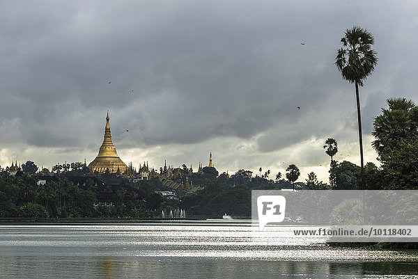 Myanmar Asien Chedi Shwedagon Pagode