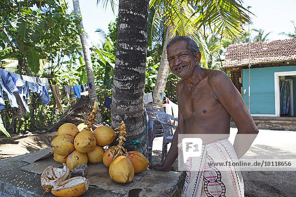 Mann  60 Jahre  schneidet Kokosnüsse auf  Dondra  Südprovinz  Indischer Ozean  Ceylon  Sri Lanka  Asien