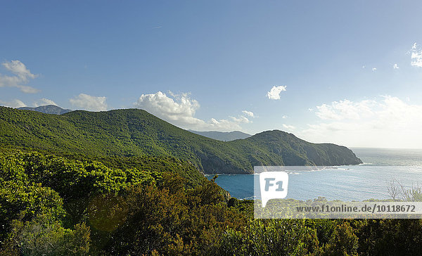 Halbsinsel Punta di Ciuttone zwischen Galeria und Calvi  Filosorma  Westküste Département Haute-Corse  Korsika  Frankreich  Europa