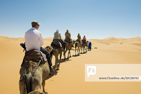 Touristen auf Dromedaren in den Dünen,  bei Merzouga,  Region Meknès-Tafilalet,  Marokko,  Afrika