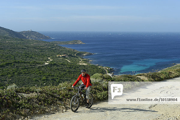 Mountain biker  bike ride on the La Revellata peninsula  near Calvi  Haute-Corse  Corsica  France  Europe