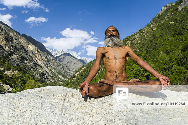 Mahant Naomi Giri  52 Jahre  Sadhu  im Lotussitz  padmasana  auf einem Felsen am Ufer des heiligen Flusses Ganges  bei der Meditation  Gangotri  Uttarakhand  Indien  Asien