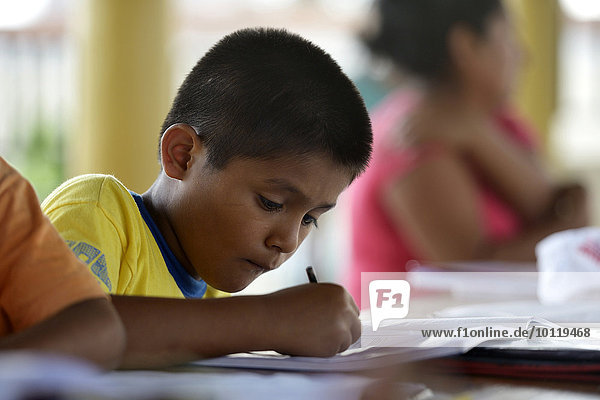 Pupil doing his homework  Puerto Maldonado  Madre de Dios department  Peru  South America