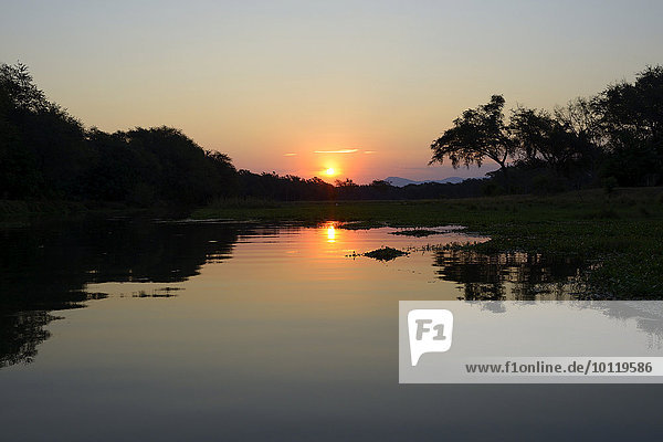 Sonnenuntergang an einem Seitenarm des Sambesi Flusses  Lower Zambesi Nationalpark  Sambia  Afrika