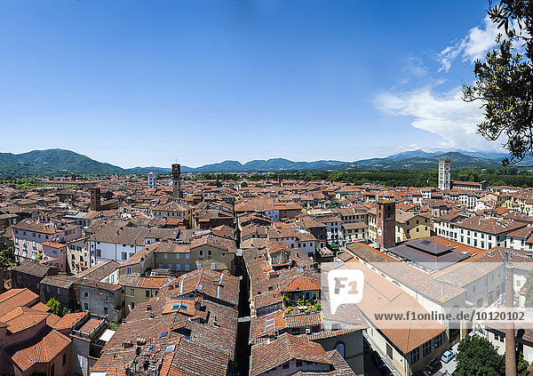 View of Lucca from Torre Guingi  Lucca  Tuscany  Italy  Europe