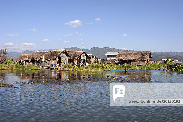 Traditionelle Stelzenhäuser im Inle-See  Shan-Staat  Myanmar  Asien