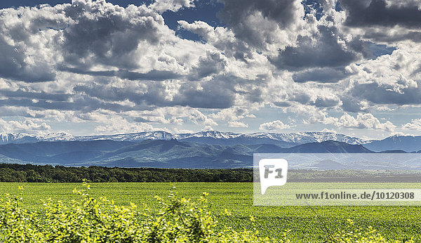 Blick ins Balkangebirge  Smirnenski  Montana  Bulgarien  Europa