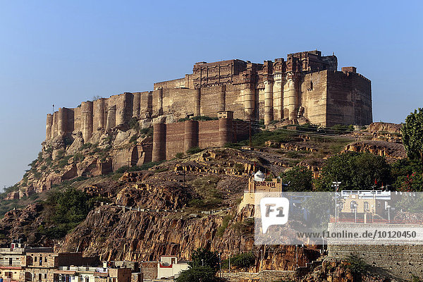 Mehrangarh Festung oder Fort Meherangarh auf dem Hügel  Jodhpur  Rajasthan  Indien  Asien