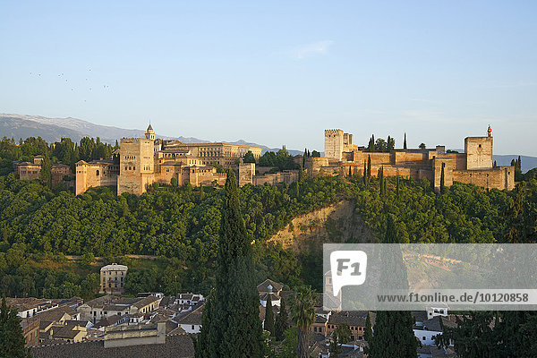 Alhambra  Granada  Andalusien  Spanien  Europa
