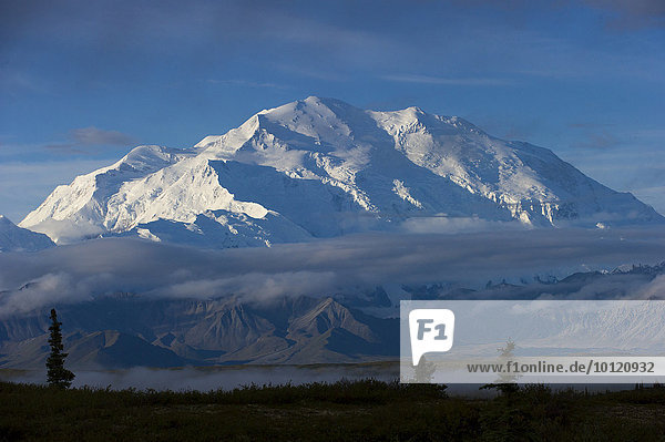 Schneebedeckter Mount McKinley,  Denali-Nationalpark,  Healy,  Alaska
