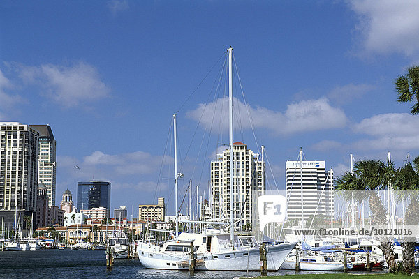 Tampa Bay  St. Petersburg  Florida  USA  Nordamerika