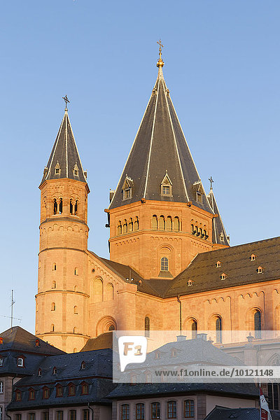 Mainzer Dom St. Martin  Mainz  Rheinland-Pfalz  Deutschland  Europa