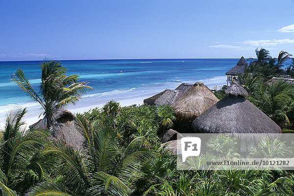 Biosphärenreservat Sian Ka'an  Riviera Maya  Yucatan  Mexiko  Nordamerika