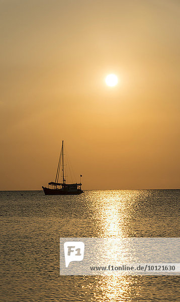 Segelboot im Meer bei Sonnenuntergang  Insel Koh Tao  Golf von Thailand  Thailand  Asien