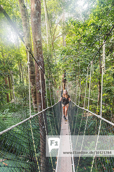 Touristin  Frau auf Hängebrücke im Dschungel  Kuala Tahan  Nationalpark Taman Negara  Malaysia  Asien