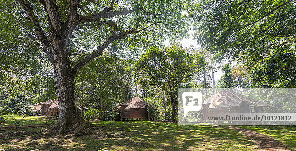 Holzhütten im Dschungel  Kuala Tahan  Nationalpark Taman Negara  Malaysia  Asien