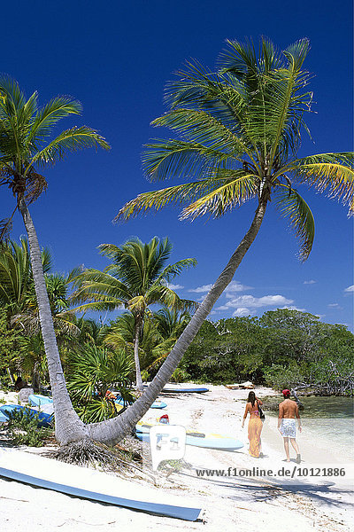 Strand von Bahia de Punta Soliman an der Riviera Maya  Yucatan  Mexiko  Nordamerika
